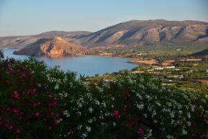 a view of a lake with mountains and flowers at Castri Village Hotel in Palekastron