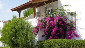 a building with pink flowers on the side of it at Castri Village Hotel in Palekastron