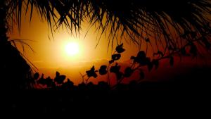 a group of birds flying in front of a sunset at Castri Village Hotel in Palekastron