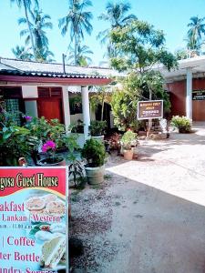 Zahrada ubytování Margosa Guesthouse