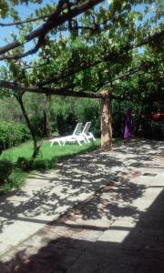 a park with a white bench in the grass at Borgo Piazza in Catanzaro Lido