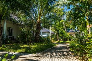 une maison avec un palmier à côté d'une route dans l'établissement Long Mountain Resort, à Duong Dong