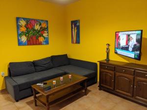 salon z kanapą i telewizorem z płaskim ekranem w obiekcie Apartamento zona residencial Montesol w mieście La Eliana