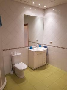 a bathroom with a toilet and a sink and a mirror at Donostia Apartment Parking Included in San Sebastián