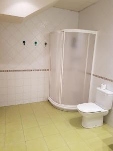 a bathroom with a shower and a toilet at Donostia Apartment Parking Included in San Sebastián