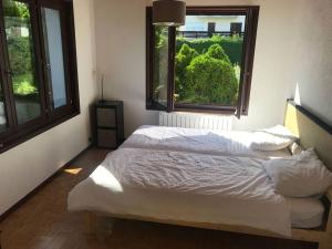 sypialnia z 2 łóżkami i dużym oknem w obiekcie Cosmic Latte w mieście Divonne-les-Bains