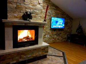 ein Wohnzimmer mit einem Kamin und einem TV in der Unterkunft Apartments Elegance in Bansko