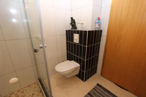 łazienka z toaletą i kabiną prysznicową w obiekcie The Viking Country Club w mieście Hjalteyri