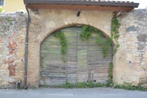 a large wooden garage door with ivy on it at Agriturismo La Filanda in Manerba del Garda