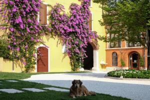 a dog laying on the grass in front of a building with purple flowers at Agriturismo La Filanda in Manerba del Garda