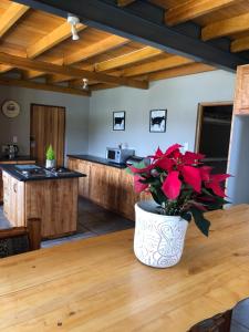 a kitchen with a table with a vase with red flowers on it at Caledon Country House in Clarens