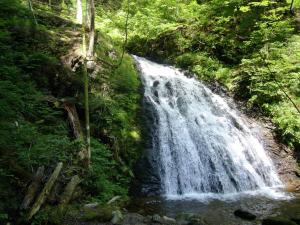a waterfall in the middle of a forest at Ferienwohnung mit Talblick in Todtmoos in Todtmoos
