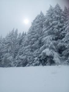 Chalet Niederhaushof during the winter