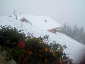 Chalet Niederhaushof during the winter