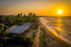 普拉亚德莫伊塔斯Pousada Lacula的日落时分拥有棕榈树和海洋的海滩