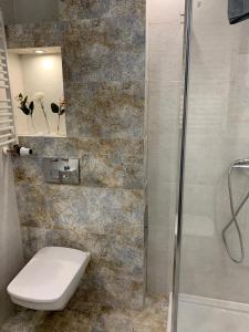 a bathroom with a toilet and a shower at Apartament rodzinny 70 m2 in Tarnowskie Góry