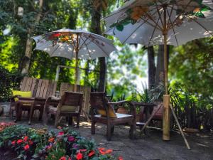 Fotografie z fotogalerie ubytování Sukjai Guesthouse v destinaci Chiang Mai