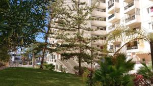 Gallery image of Apartment El Dorado in Playa de las Americas