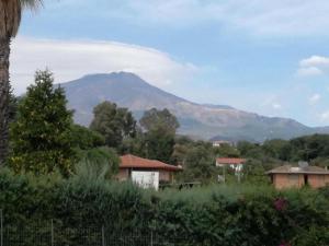 a mountain in the distance with houses and trees w obiekcie I capricci dell'Etna 1 di Puglisi w mieście Mascalucia