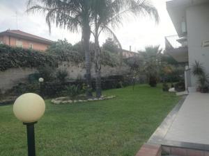 podwórko z palmami i światłem ulicznym w obiekcie I capricci dell'Etna 1 di Puglisi w mieście Mascalucia