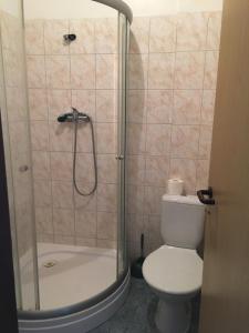 海布的住宿－Penzion T&T，带淋浴、卫生间和淋浴的浴室