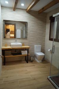 een badkamer met een wastafel, een toilet en een spiegel bij Puente Viejo de Buitrago CASA ROBLE in Buitrago del Lozoya