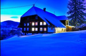 Echtes Schwarzwaldhaus - Traditionell & Modern зимой