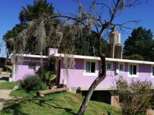una casa rosa con un albero di fronte di Hotel Bosques a Zacatlán