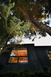 Gallery image of L'amour Nest in Napier