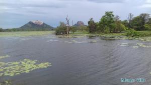 Paesaggio naturale nelle vicinanze della stanza in casa privata