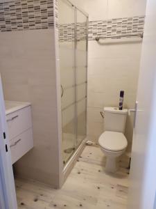 een badkamer met een toilet en een glazen douche bij Le coconing appt 102 in Sens