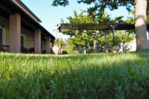 un patio de césped con un banco en el fondo en Agriresidence Debbiare, en Riparbella