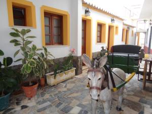 una estatua de un burro parado frente a un edificio en Ria Studios en Olhão