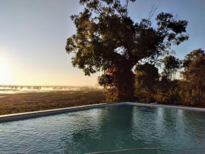 Bazén v ubytování Kingfisher Ecolodge nebo v jeho okolí