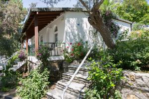 Zahrada ubytování Greenport Bodrum Hotel