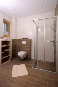 a bathroom with a toilet and a glass shower at Freihaushof in Mayrhofen