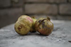 Billede fra billedgalleriet på Vacation House Planika i Vela Luka + 52 billeder