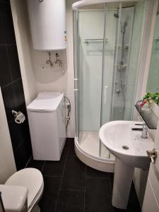 a bathroom with a shower and a toilet and a sink at Beachfront modern and spacious apartment in Torrevieja