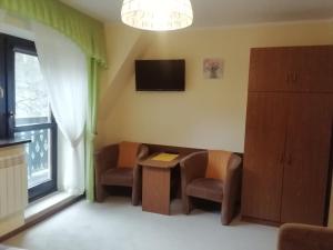 Gallery image of Willa Hamernik in Szczawnica