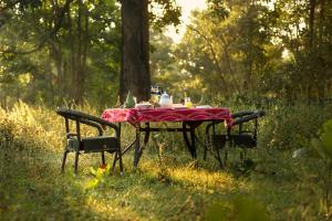 una mesa de picnic en el césped en un campo en Pench Jungle Camp, en Khawāsa