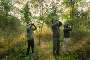 tres hombres tomando fotos de un bosque con sus cámaras en Pench Jungle Camp, en Khawāsa