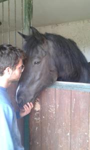 a man is petting a horse over a fence at Casa Vacanze La Meridiana in Serrungarina