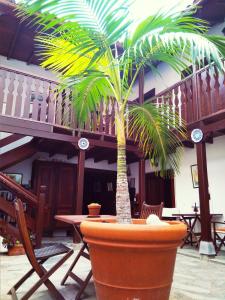 a palm tree in a large pot next to a table at Casa Rural Los Helechos in Agulo
