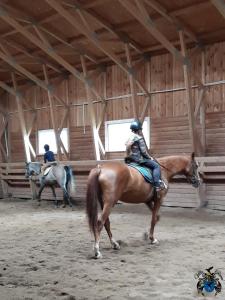 Gallery image of Villa Cheval in Auk&scaron;tadvaris