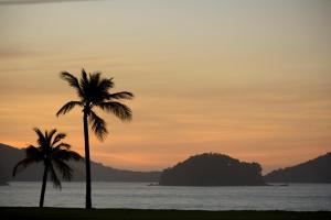 two palm trees on the beach at sunset at Recanto Jubarte (Massaguaçu Caraguatatuba - SP) in Caraguatatuba +26 photos