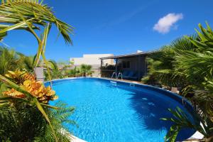 a large blue swimming pool in a yard with palm trees at Turquoise Villa in Paradijs