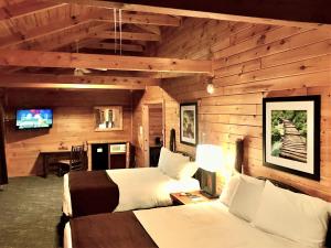 een slaapkamer met 2 bedden en een bureau met een televisie bij Mountain Top Inn and Resort in Warm Springs