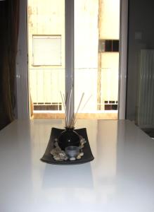 un vaso su un bancone con una pianta dentro. di City Center Martha's Apartment a Salonicco