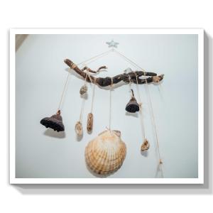 イリイチにあるGuest House Marinaの壁掛けの貝殻