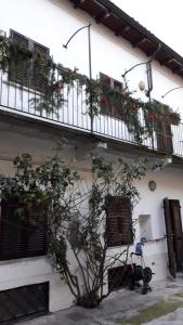 un edificio con balcones y un árbol delante de él en Appartamento A.D., en Alessandria